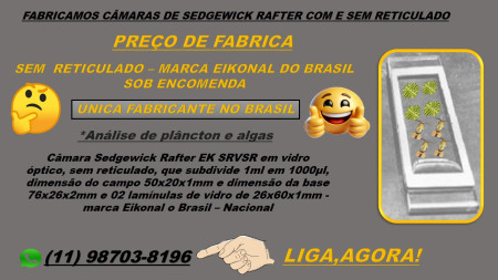 CÂMARA SEDGEWICK RAFTER SEM RETÍCULO VIDRO